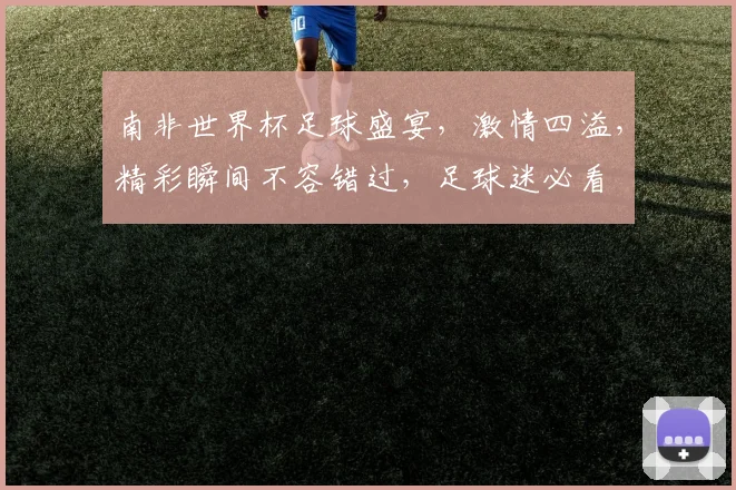 南非世界杯足球盛宴，激情四溢，精彩瞬间不容错过，足球迷必看